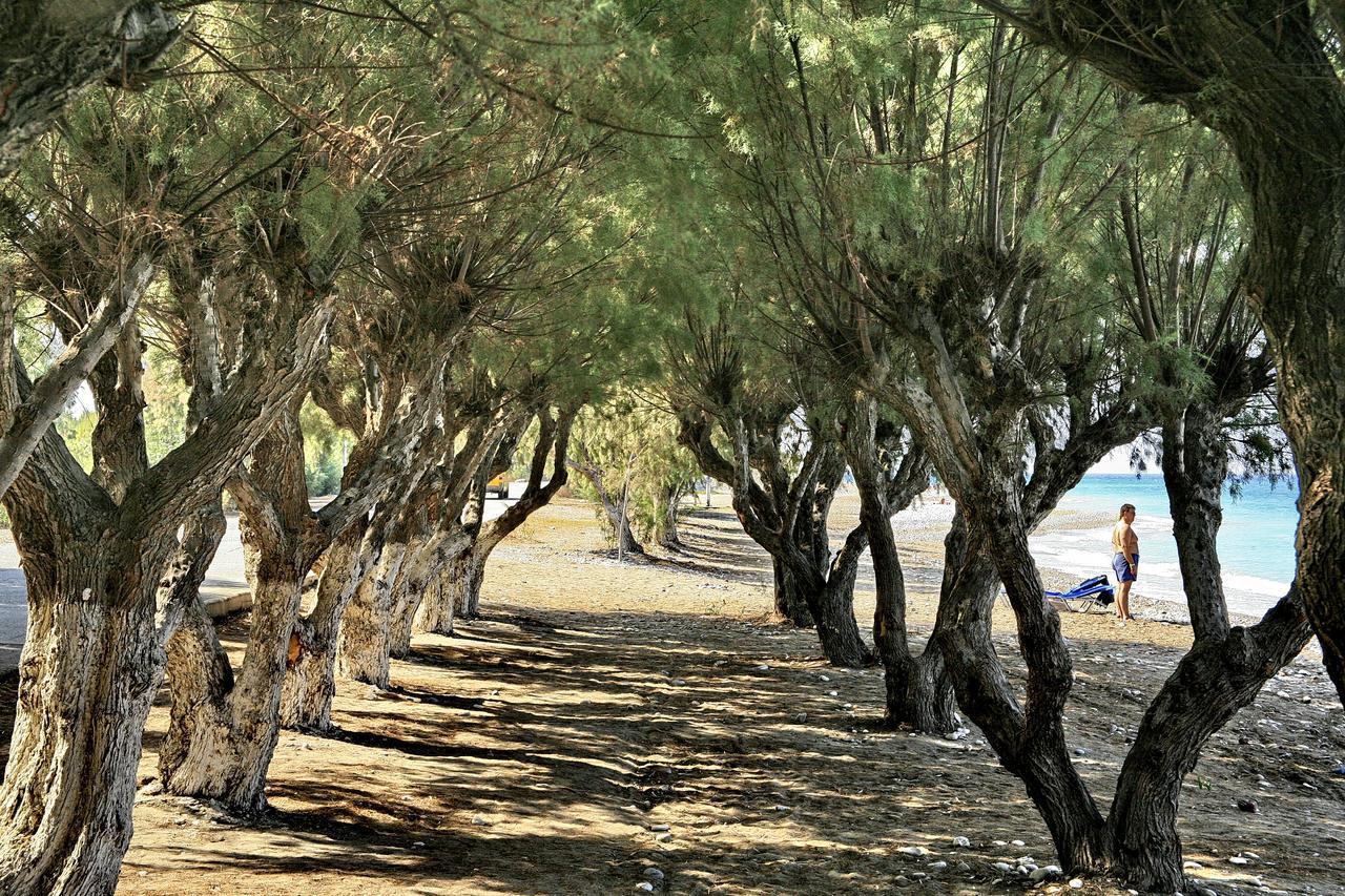 All Senses Ocean Blue Sea Side Resort Κρεμαστή Εξωτερικό φωτογραφία